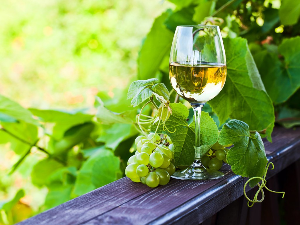 o que é vinho verde
