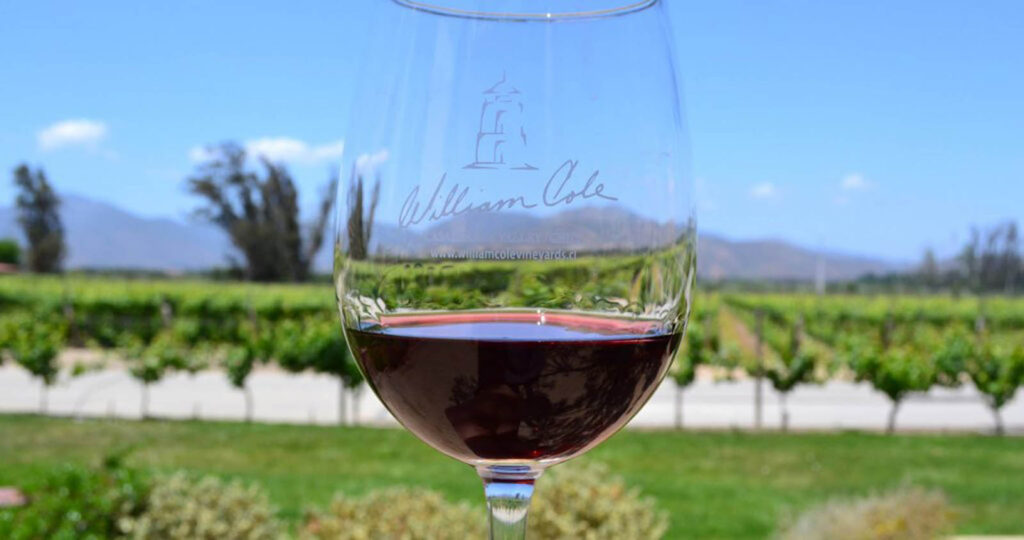 Brasil se consolida como maior mercado para vinhos chilenos em 2025