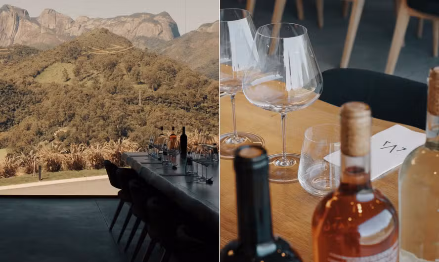 Vinícola Maturano promove Vindima de Inverno com colheita e almoço harmonizado